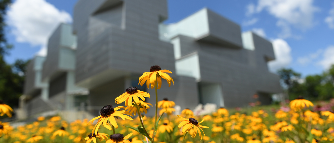 Art Building Flowers