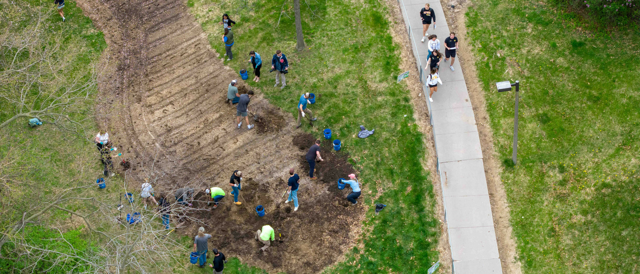 Volunteers planting a Miyawaki forest