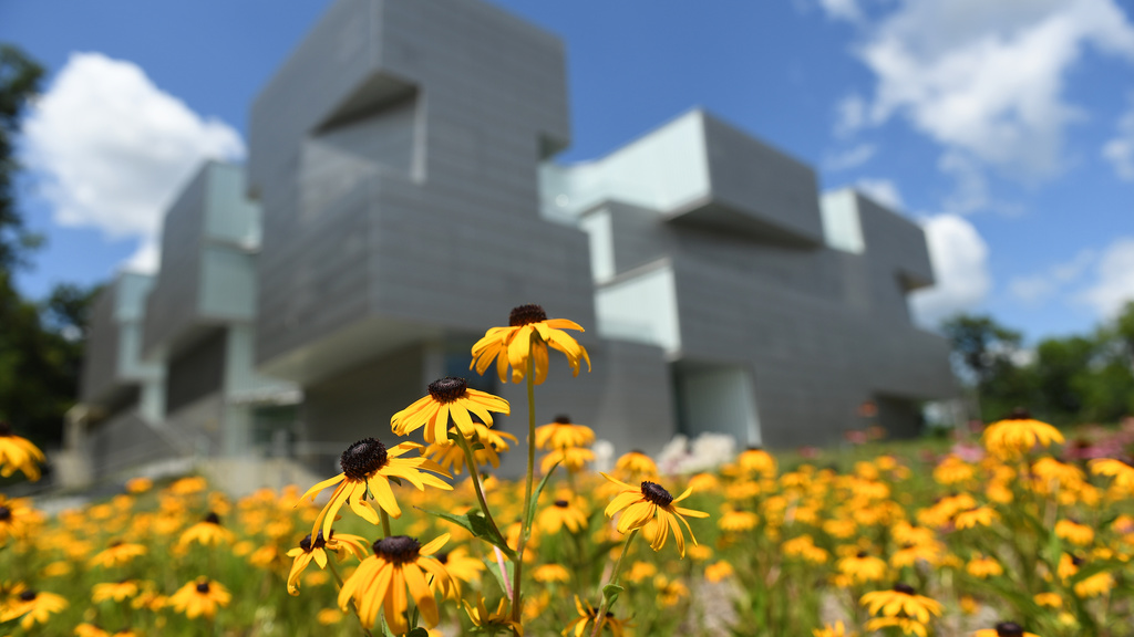 Flowers in front of the Art Building