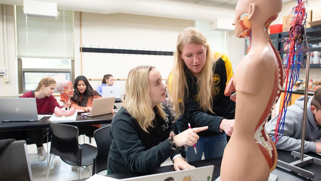 Students in a Human Anatomy class