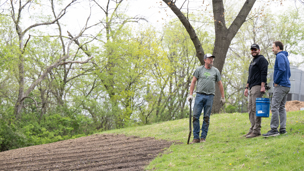 Miyawaki forest planting